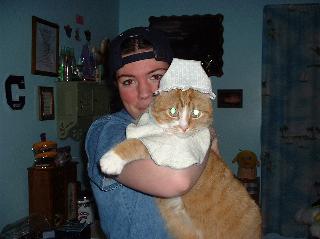 babykitty.jpg